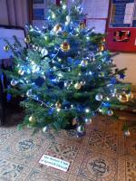 Xmas Tree 1 2022